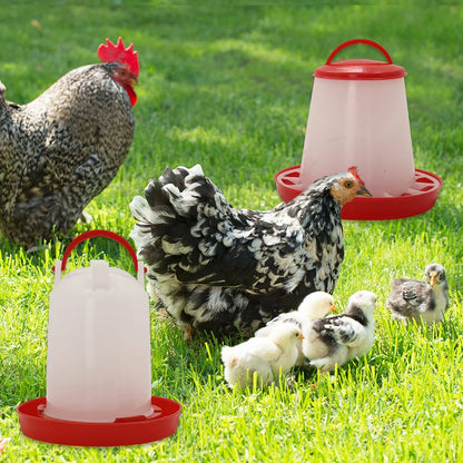 Mangeoire poule et abreuvoir poule - Novattix™