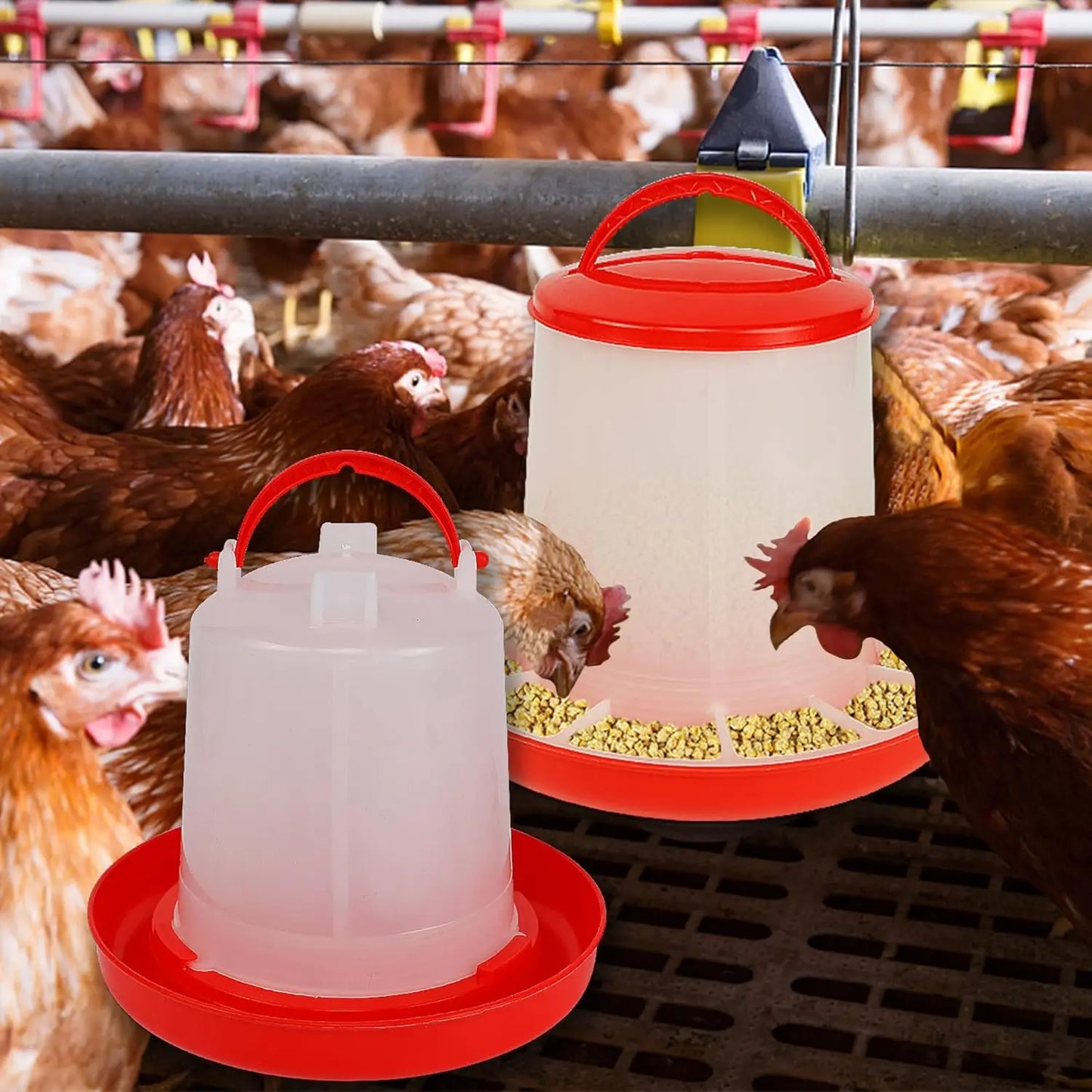 Mangeoire poule et abreuvoir poule - Novattix™