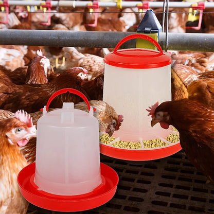 Mangeoire poule et abreuvoir poule - Novattix™