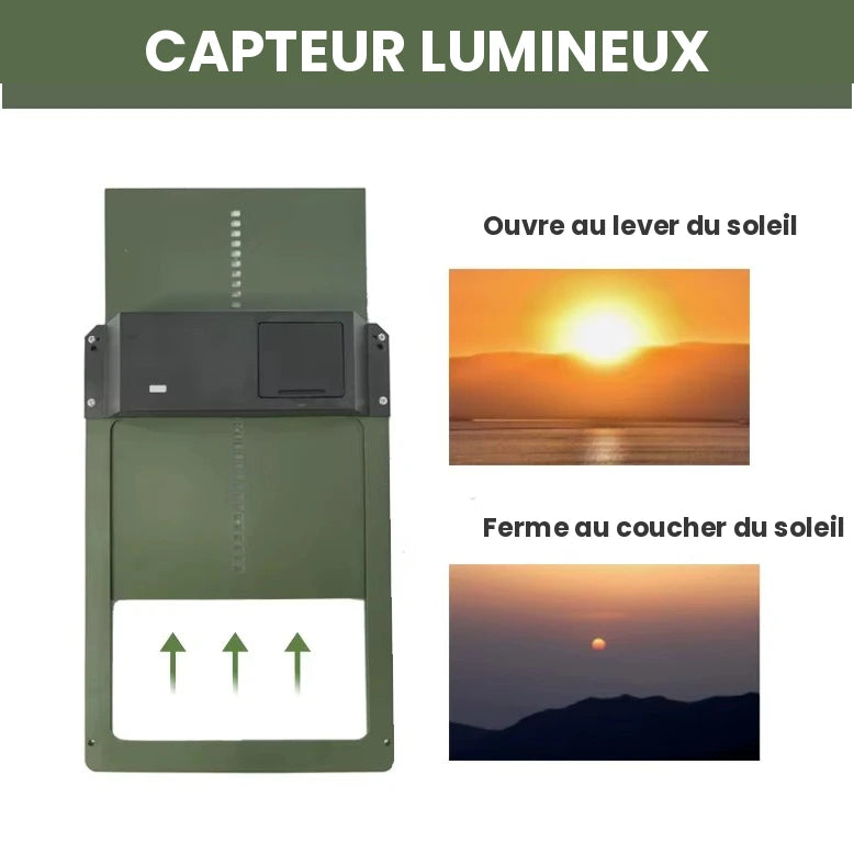 Porte automatique poulailler | Nova™