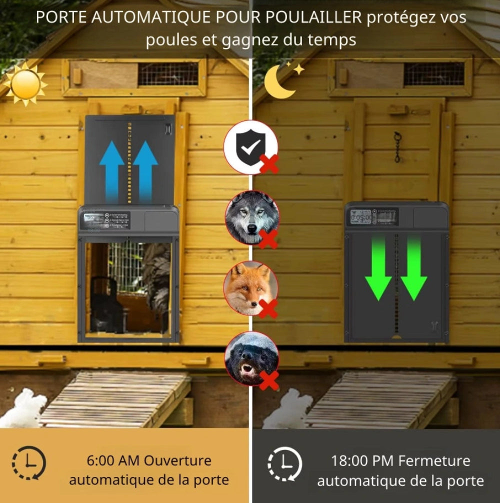 Porte automatique poulailler | Nova™ Pro